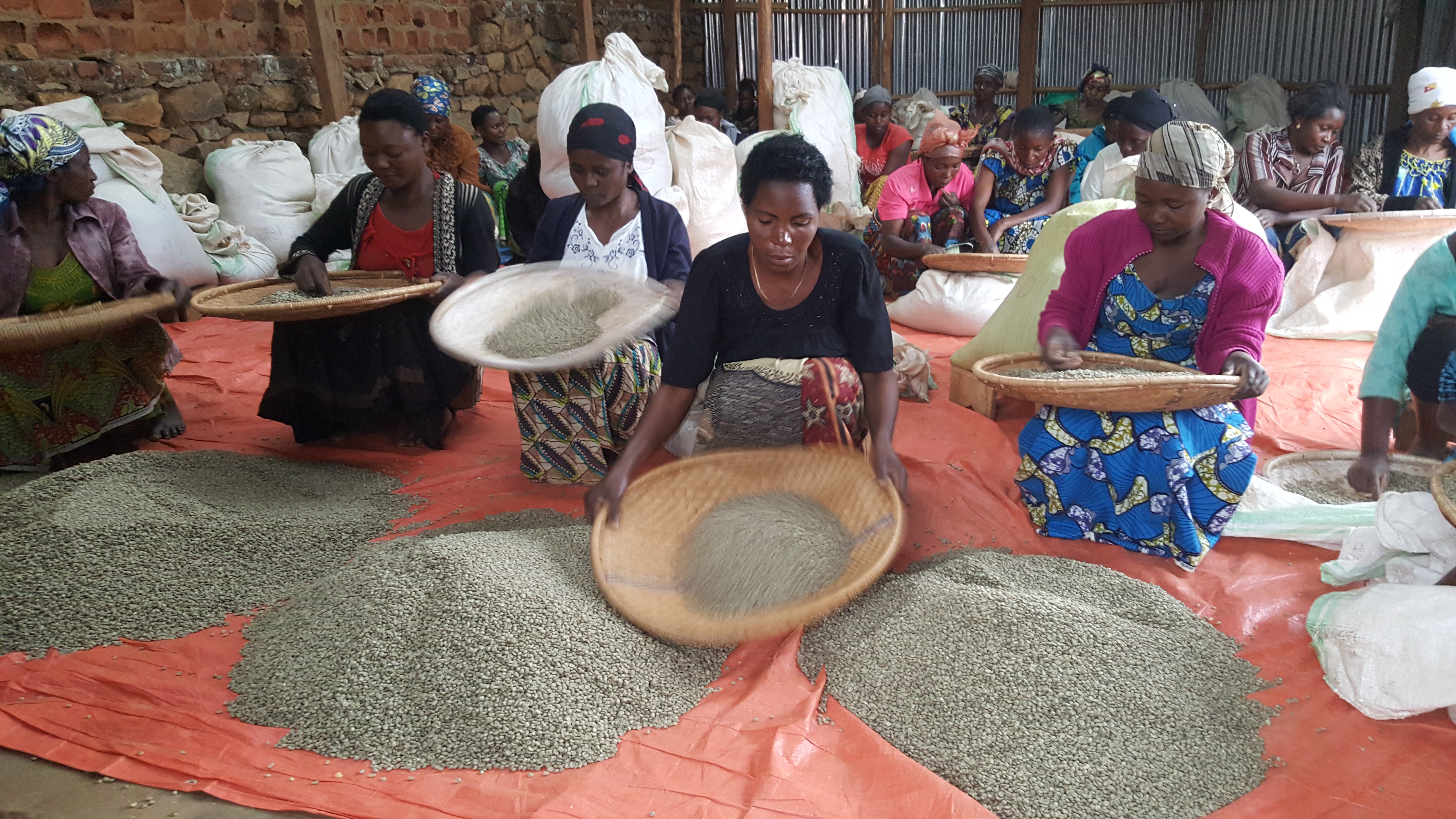 Commercialisation et accès aux marchés