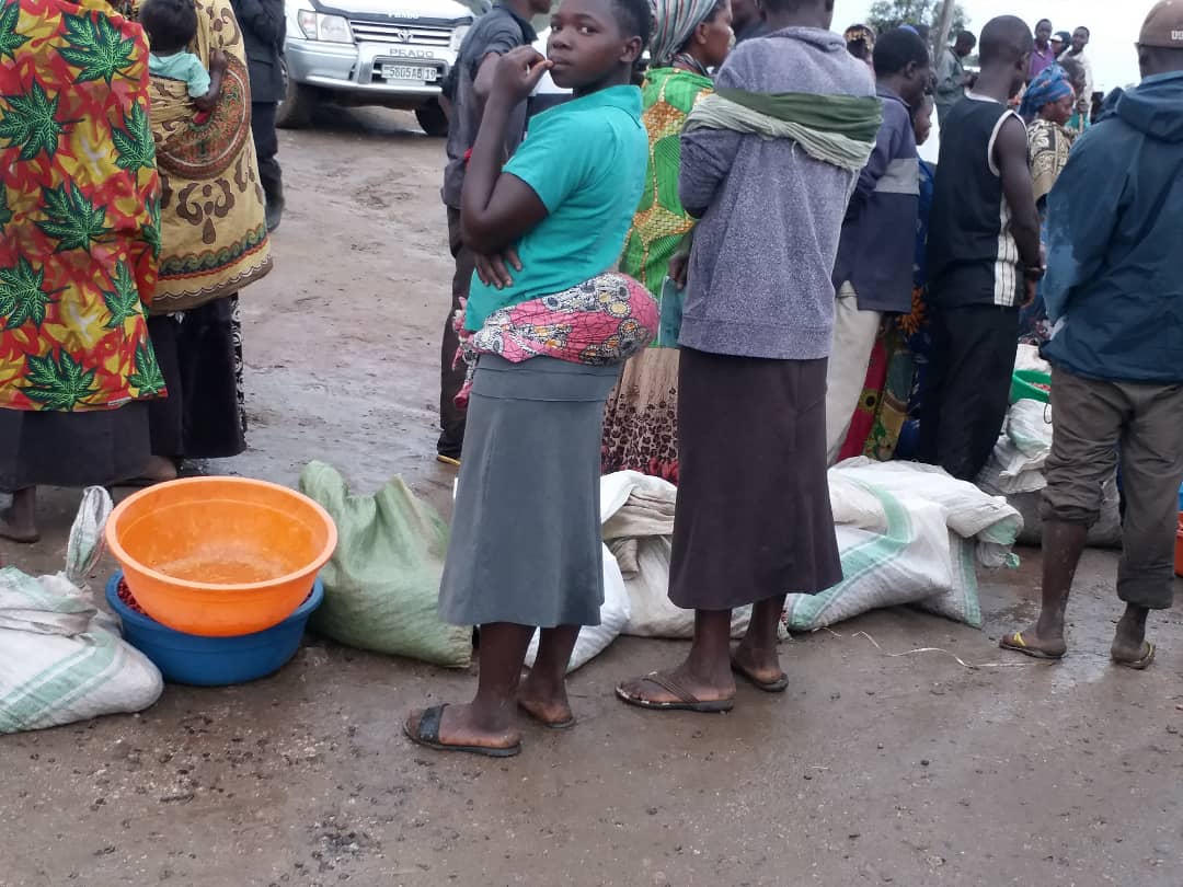 Okapi Global - Projet agricole Kongo Central