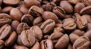 Atelier renforcement capacités